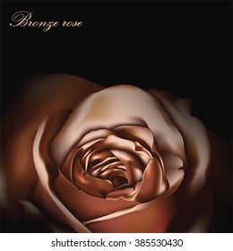 Blooming bronze Flower Rose background. Love, romance and Valentine greeting holiday card, vector