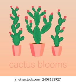 Blooming cacti inscription in English. Spiny cacti. Succulents in pots. Plants for the home.