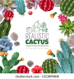 Blooming cacti and popular succulents varieties easy care decorative indoor plants realistic colorful square frame vector illustration