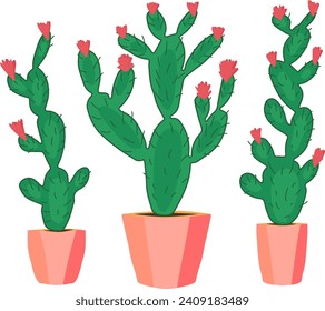 Blooming cacti in a pot. Spiny cacti. Succulents in pots. Plants for the home.