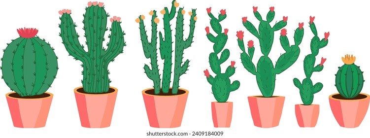 Blooming cacti in a pot. Spiny cacti. Succulents in pots. Plants for the home.