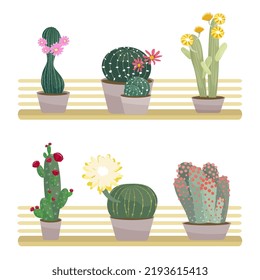 Cactus florecientes en macetas colocadas en estanterías de madera aisladas en fondo blanco Ilustración vectorial en estilo caricatura plana Colección de plantas de hogar verdes