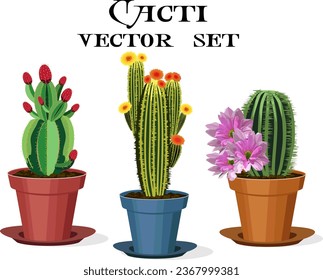 Blooming cacti in pots.Vector illustration with a set of blooming cacti in pots on a transparent background with text.