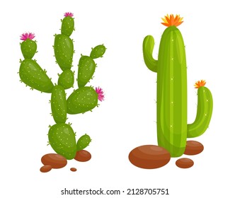 Blooming cacti set.Cartoon vector graphics.