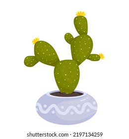 Blooming cacti, succulents in a flower pot. Cartoon vector graphics.