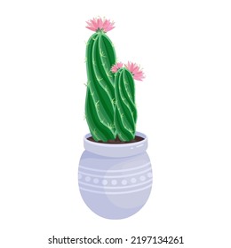 Blooming cacti, succulents in a flower pot. Cartoon vector graphics.