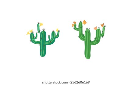 blooming cacti with vibrant flowers