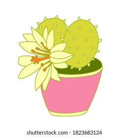 Blooming cactus with a beautiful big flower in flat style with outline. Houseplant in a pot. Hand drawn vector illustration of succulent isolated on white background.  Pink, green and orange colors.