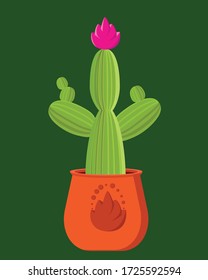 Blooming cactus. Blossoming cactus.Cactus in the pot. Room plant. Cactus in a clay pot. A plant in a pot.