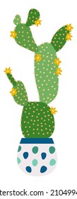 Blooming cactus in cute flowerpot. Lovely green house decoration