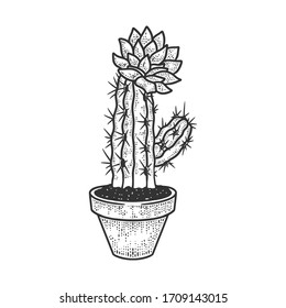 blooming cactus flower in pot sketch engraving vector illustration. T-shirt apparel print design. Scratch board imitation. Black and white hand drawn image.