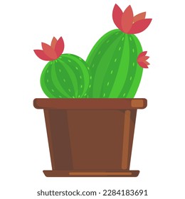blooming cactus illustration in vector. cactus in a pot with pink flowers. houseplant vector