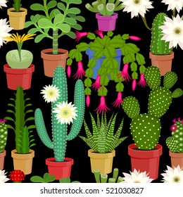 Blooming cactus on a black background. Seamless pattern. Vector illustration of flowers.