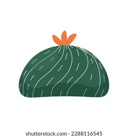 Cactus florecientes sobre fondo blanco