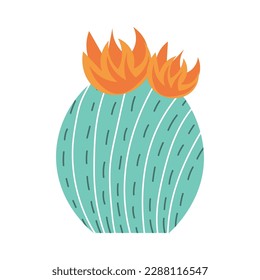 Blooming cactus on white background