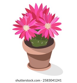 Blooming cactus with pink flowers in a pot on a white background. Cartoon vector illustration for children's activity book, worksheet, print.