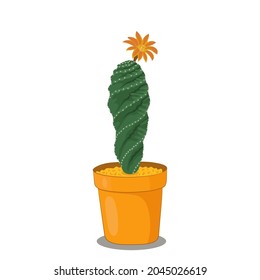 Blooming cactus in a pot flat illustration on white background. Home plant.