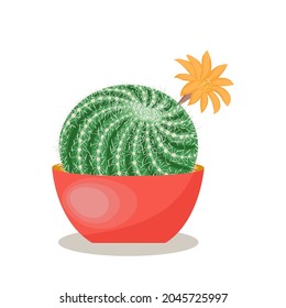 Blooming cactus in a pot flat illustration on white background. Home plant.