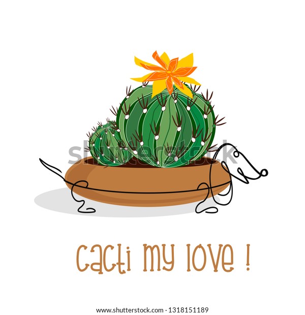 cactus stay focused app