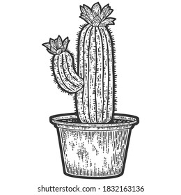 Blooming cactus in a pot. Sketch scratch board imitation coloring.