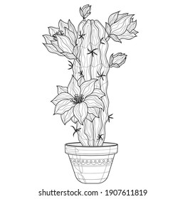 Blooming cactus in a pot.Coloring book antistress for children and adults. Illustration isolated on white background.Zen-tangle style. Black and white drawing.Hand drawn