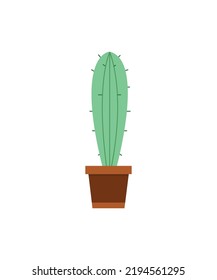 Blooming cactus in pots isolated on white background. Cactus vector illustration.