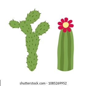 Blooming cactus and prickly pear. Isolated on white background. Vector illustration.