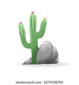 Blooming cactus with rocks below. Isolated on white background.