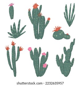 Cactus en flor. Cacti desértico exótico, plantas silvestres, suculentos espinosos. Colección de ilustraciones vectoriales botánicas. Las artes de los clips planos estilizados aislados en blanco.