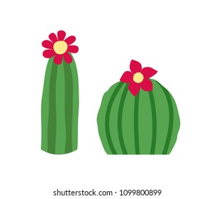 Blooming cactus set. Isolated on white background. Vector illustration.