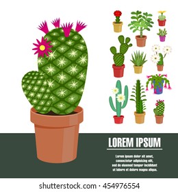 Blooming cactus. Vector illustration. Template page with the image of different kinds of cactus flower. Isolated on white background. Flat design.