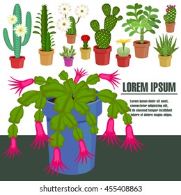 Blooming cactus. Vector illustration. Template page with the image of different kinds of cactus flower. Isolated on white background. Flat design.