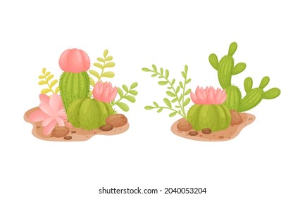 Blooming cactuses set. Desert plants among sand vector illustration
