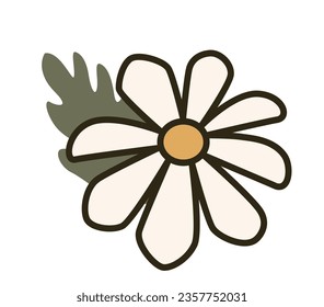 Blooming chamomile flower with petals and leaves on a stem. Isolated floral composition, organic and natural product, flavorful tea assortment for brewing warm beverage. Vector in flat styles