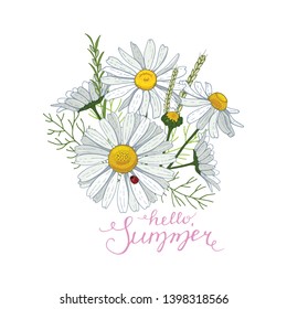 Blooming chamomile with spikelets and ladybug. Ideal for background cards, greetings and invitations to the wedding, birthday. Vector illustration on white background. Hello, summer. Lettering.