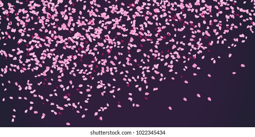 Blooming cherry blossom petals. Simple romantic frame for text. Sakura blossom scatter. Spring flyer. Hanami. Japanese motif. Dark night background. Spring is coming.