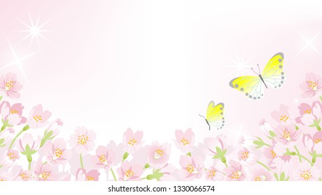 Blooming Cherry blossoms background with Two Butterflies