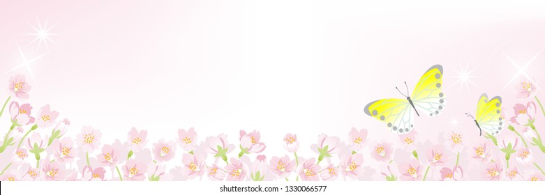 Blooming Cherry blossoms background with Two Butterflies - Header ratio