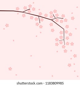 blooming cherry blossoms branch; known as sakura. color shades of pink concept. copy space design. vector illustration.