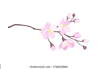 Blooming Cherry Branch with Tender Pink Flower Blossoms Vector Illustration