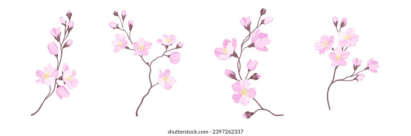 Blooming Cherry Branches with Tender Pink Flower Blossom Vector Set