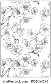 Blooming cherry japanese sakura pattern. Stock vectorÂ illustration.  Outline hand drawing. Good for coloring A4 format page for theÂ adult coloring book. 