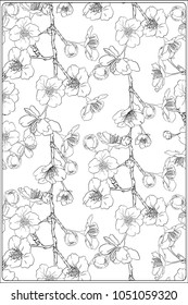 Blooming cherry japanese sakura pattern. Stock vector illustration.  Outline hand drawing. Good for coloring A4 format page for the adult coloring book. 