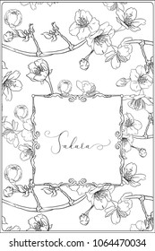 Blooming cherry japanese sakura pattern with place for text.  Stock vectorÂ illustration.  Outline hand drawing. Good for coloring A4 format page for theÂ adult coloring book. 