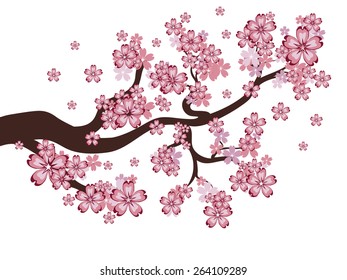 Blooming cherry, sakura branches, pink spring flowers background.