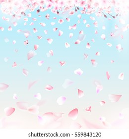 Blooming cherry. Spring background. Falling sakura pink petals. Ume, Hanami, Chinese New Year, Spring Festival, sakura flowers, Valentine's Day. EPS 10 vector.