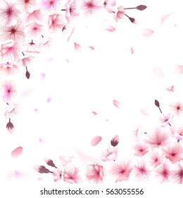 Blooming cherry. Spring background. Falling sakura pink petals. EPS 10 vector.