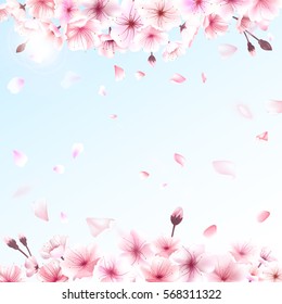 Blooming cherry. Spring background. Falling sakura pink petals. Suitable for greeting cards to the birthday, Valentine's Day, wedding invitations. Spring background. hanami. EPS 10 vector.