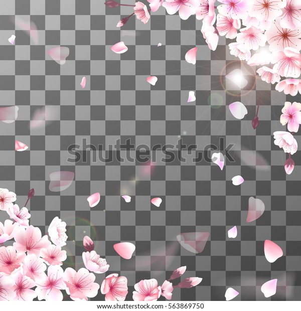咲く桜 春の背景 落ちる桜のピンクの花びら 壁紙 結婚式 の招待状 誕生日用のグリーティングカード バレンタインデーに使用できます Eps10のベクター画像 のベクター画像素材 ロイヤリティフリー