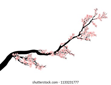 blooming cherry tree branch - spring season asian style vector decor 